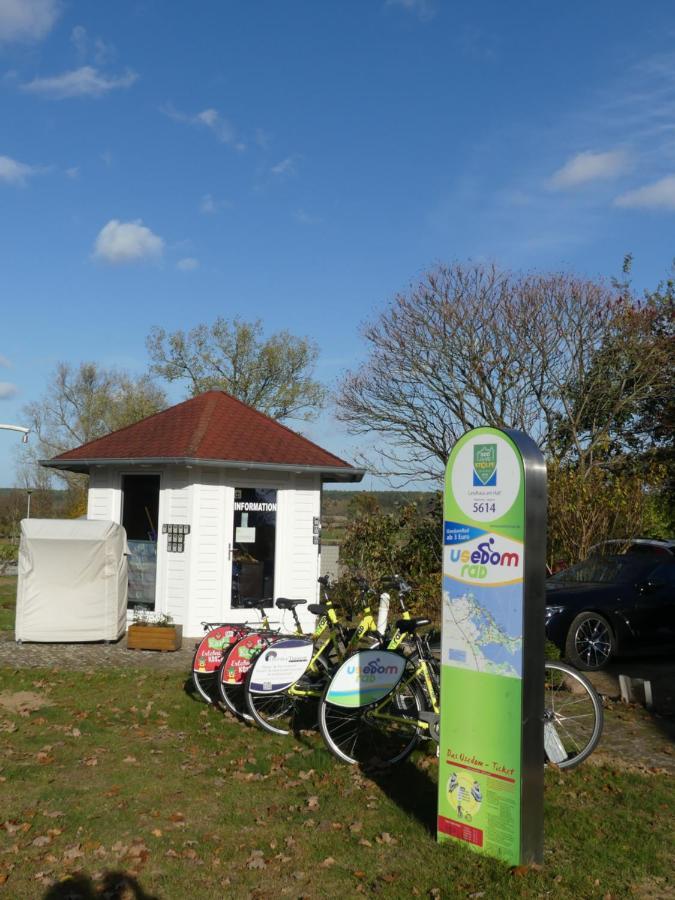 Landhaus Am Haff Stolpe auf Usedom Exteriör bild