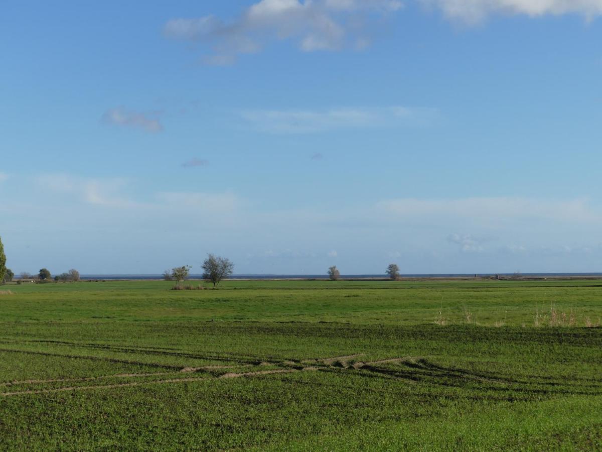 Landhaus Am Haff Stolpe auf Usedom Exteriör bild