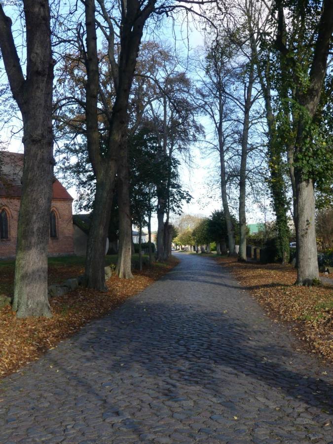 Landhaus Am Haff Stolpe auf Usedom Exteriör bild