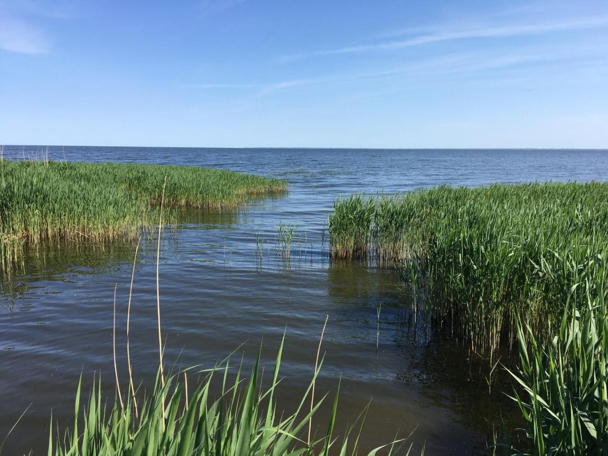 Landhaus Am Haff Stolpe auf Usedom Exteriör bild