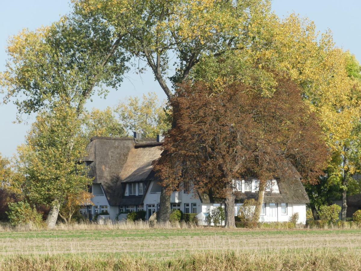 Landhaus Am Haff Stolpe auf Usedom Exteriör bild